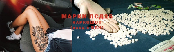 ПСИЛОЦИБИНОВЫЕ ГРИБЫ Арсеньев