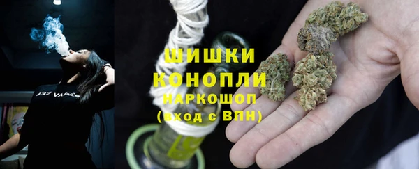 ПСИЛОЦИБИНОВЫЕ ГРИБЫ Аркадак