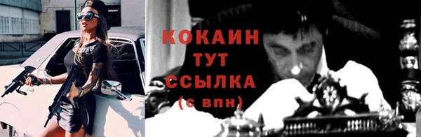 ПСИЛОЦИБИНОВЫЕ ГРИБЫ Аркадак