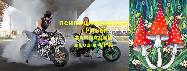 ПСИЛОЦИБИНОВЫЕ ГРИБЫ Аркадак